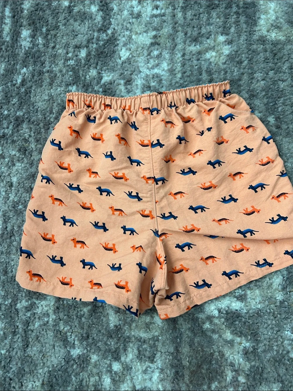 Patagonia Kids Coyote Print Baggies Shorts